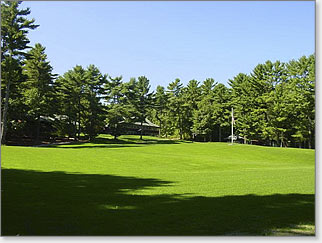Grounds